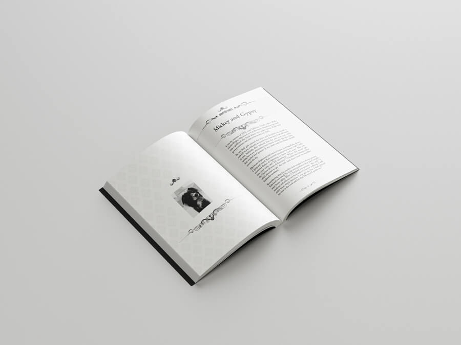 Year 2; 2020 - 2021 Stories Collection - Image 8