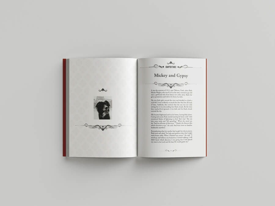 Year 2; 2020 - 2021 Stories Collection - Image 7