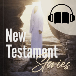 New Testament Stories Digital Audiobook